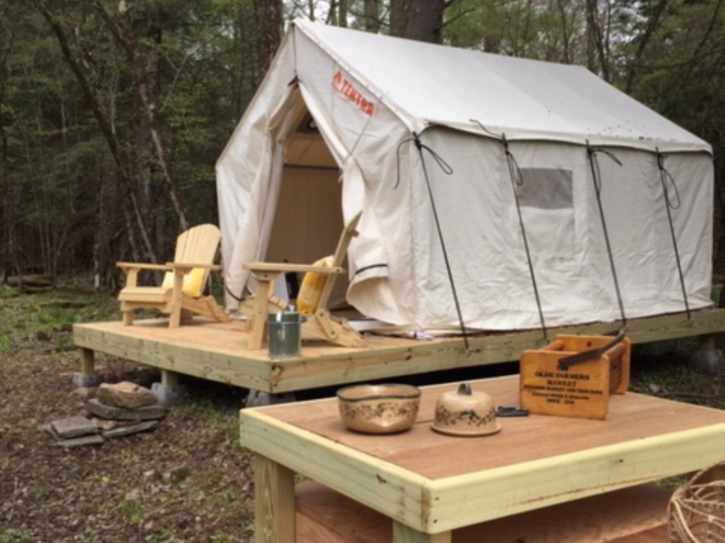 Wildflower 5 Photos Smithville Flats, NY RoverPass