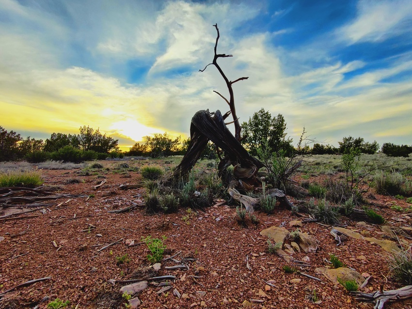 Texaco Hillside RV Campground Ashfork, AZ RoverPass