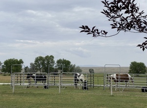 Western Skies Rv And Equine Park Riverton Wy 7