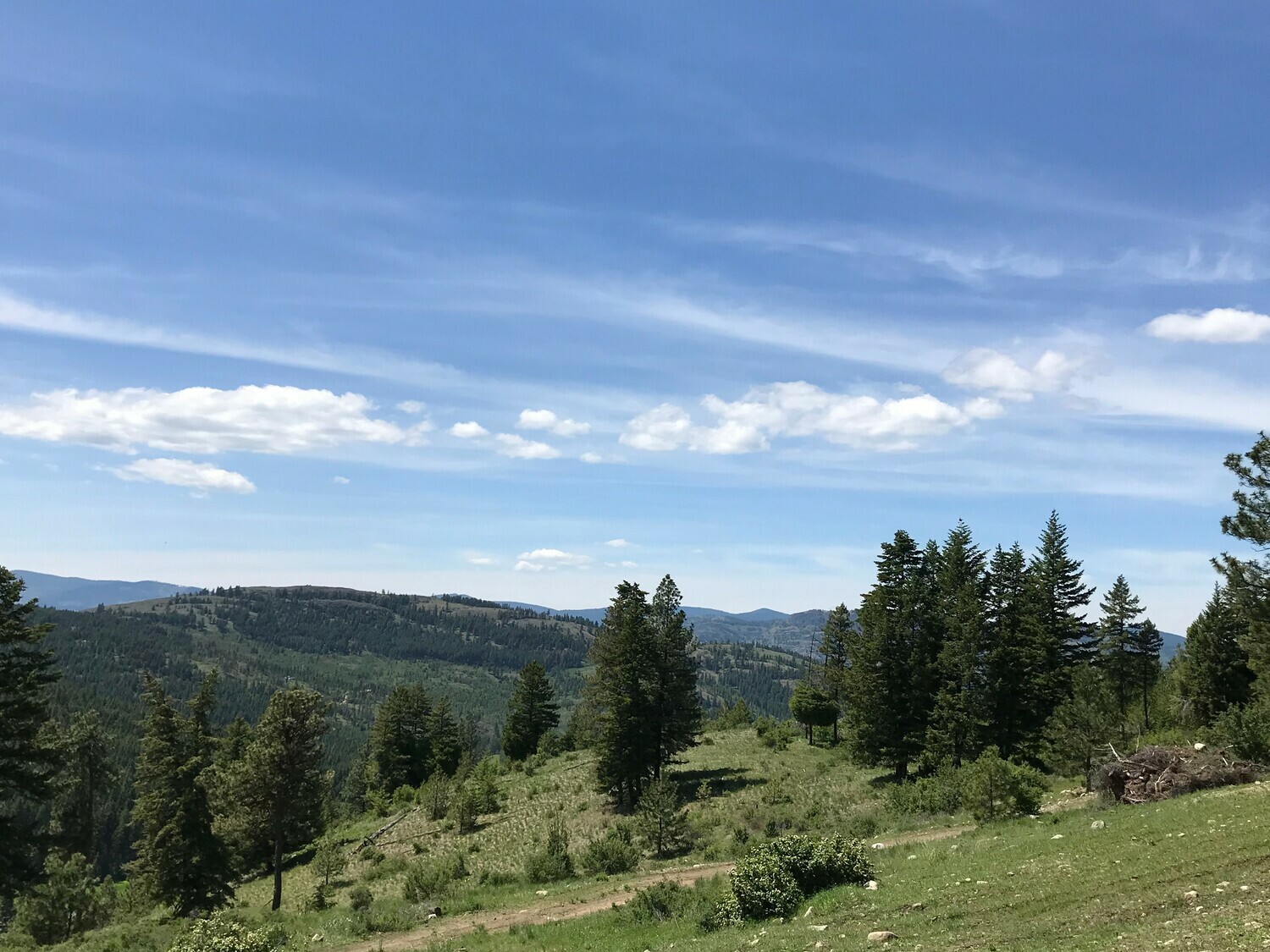 Bear Rock 5 Photos Malo, WA RoverPass