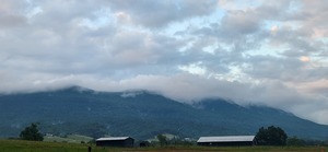 Yeary Valley Farms  Speedwell Tn 22