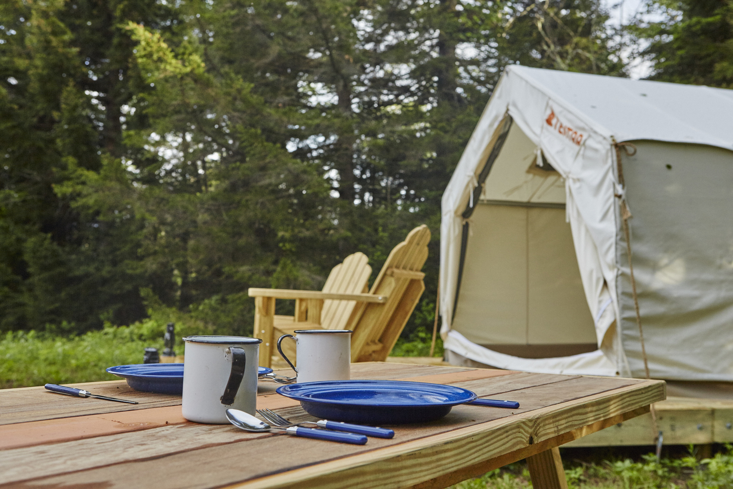 Meanwhile Back at the Farm Tent 1 5 Photos Bovina Center, NY