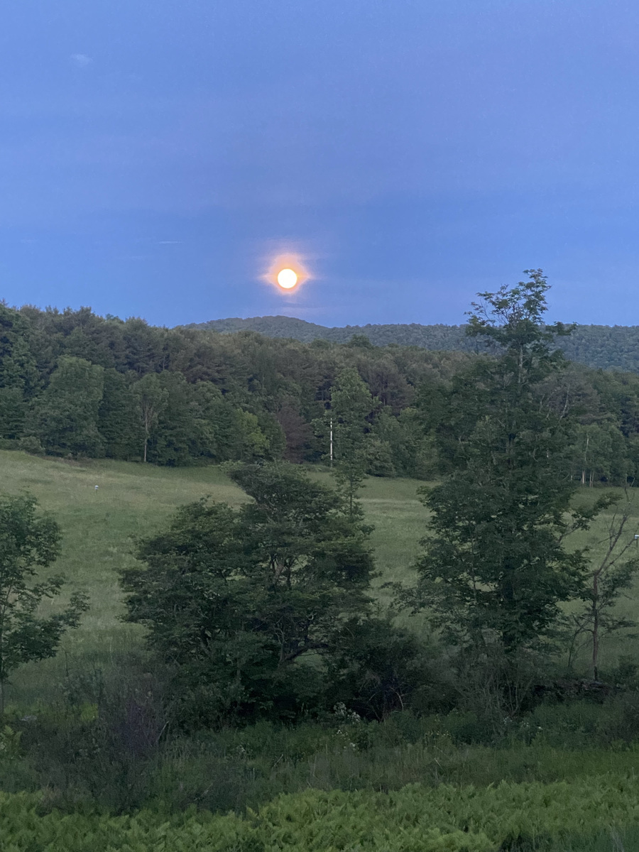 Meanwhile Back at the Farm Tent 1 5 Photos Bovina Center, NY