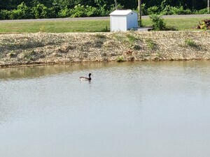 Peace N Quiet Rv Gun Barrel City Tx 10
