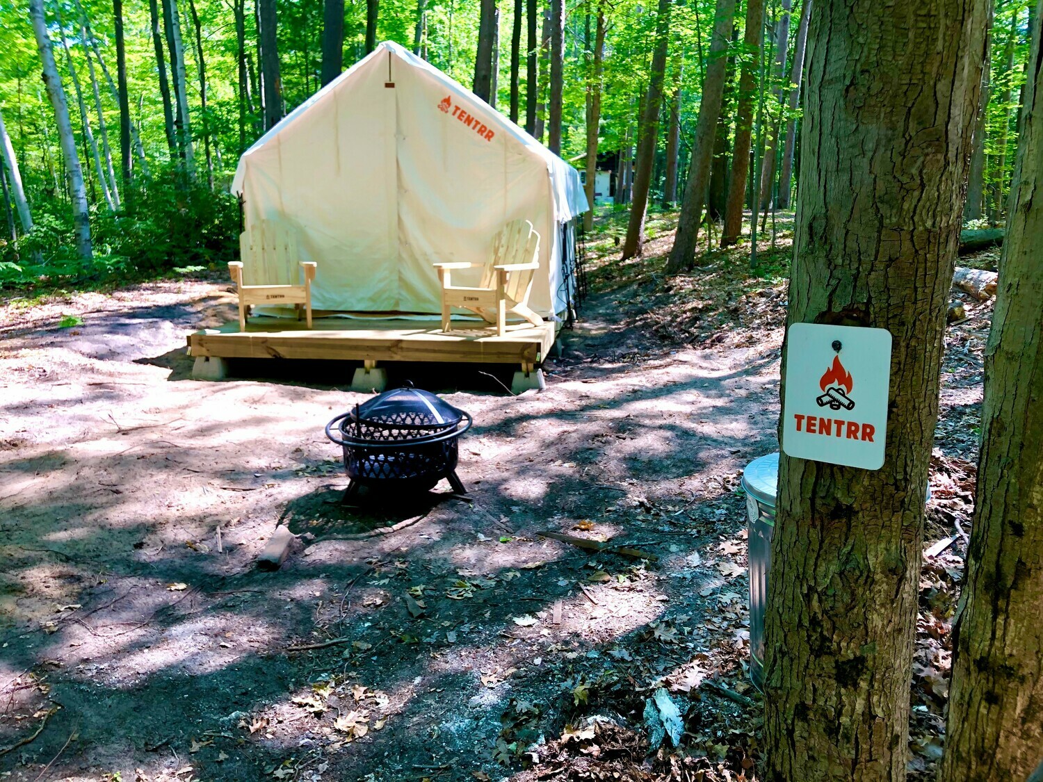 Michigan Sleeper State Park Forest Glade B Single Camp 4 Photos