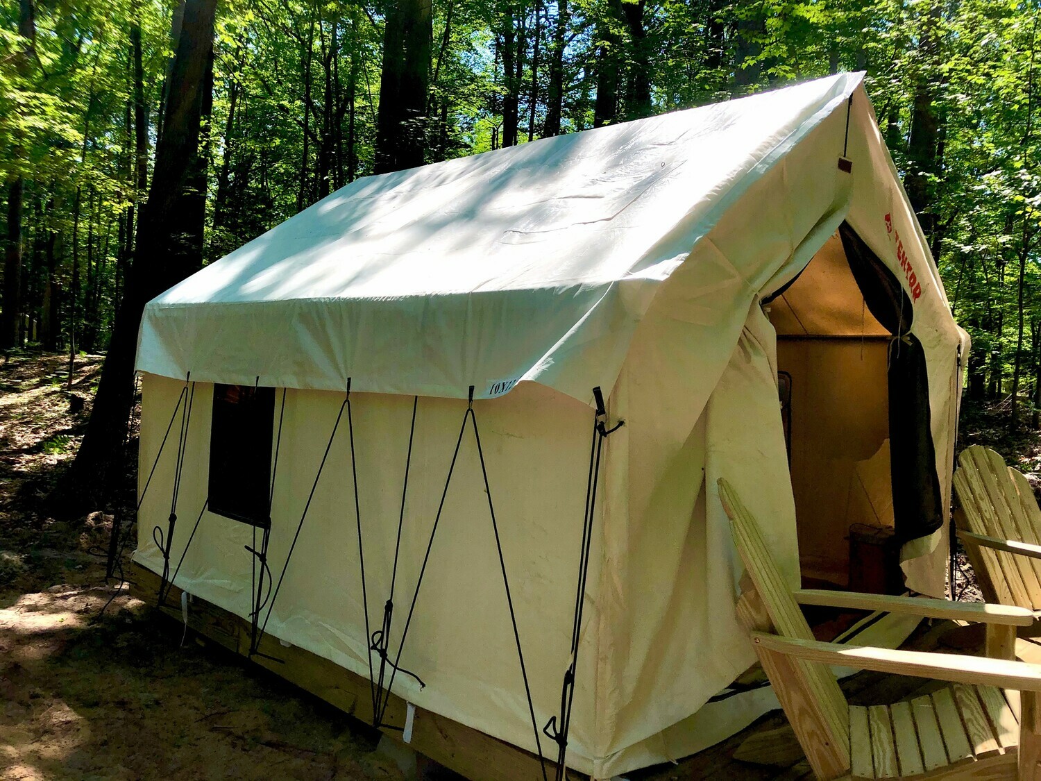 Michigan Sleeper State Park Forest Glade B Single Camp 4 Photos