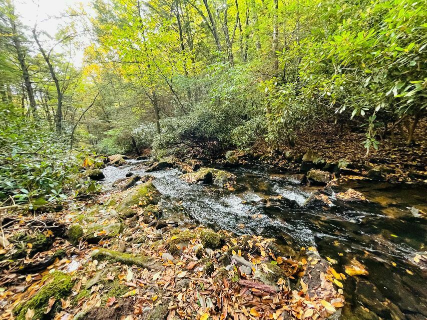 Bear Creek Falls Getaway Coleman Outfitted Site 5 Photos Jim