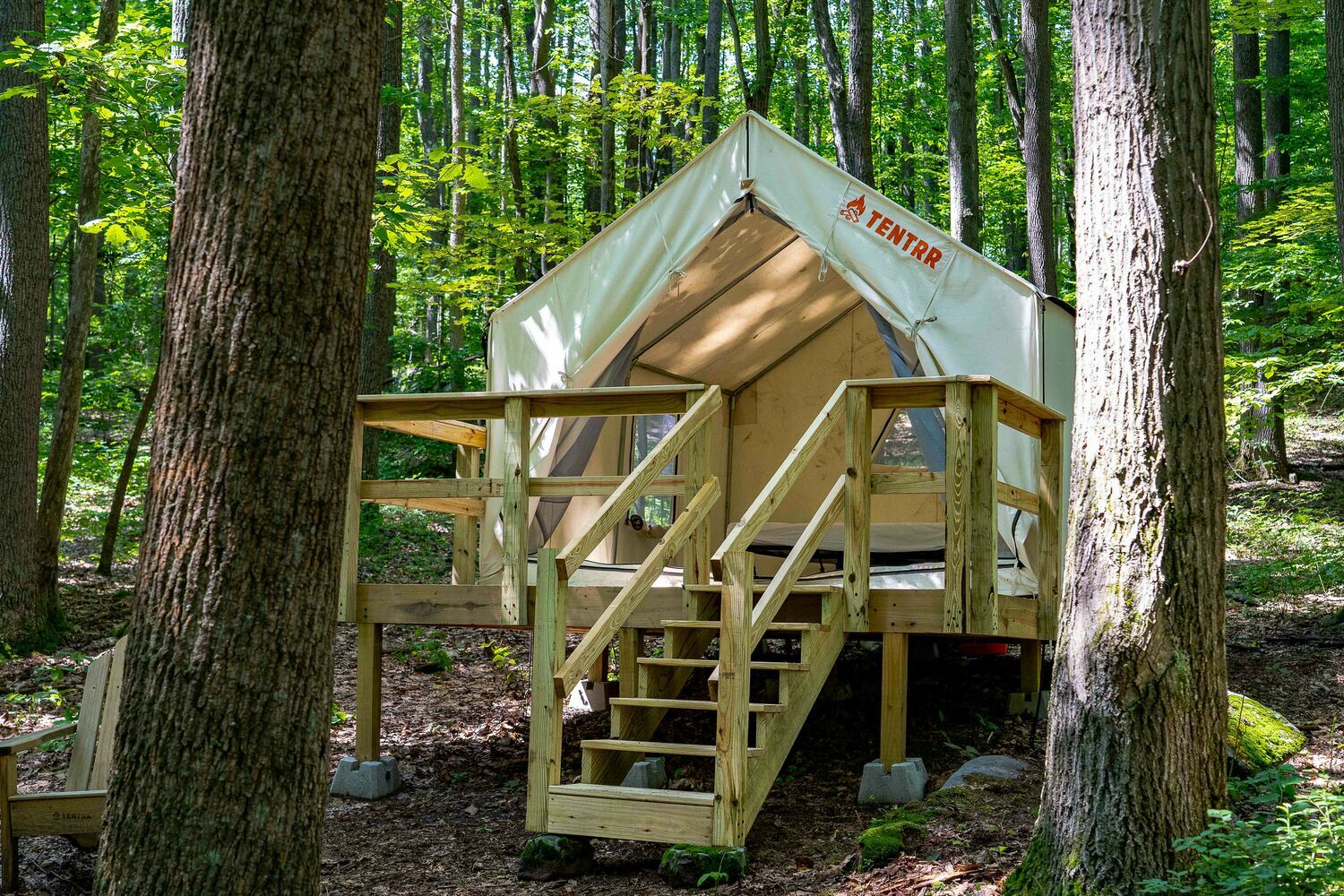 WV Coopers Rock State Park Site C Single Camp 4 Photos