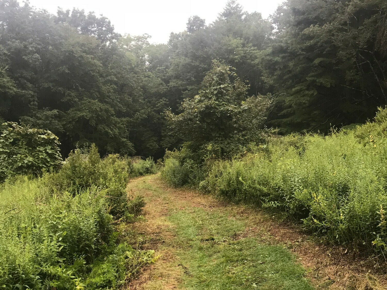 Hidden Creek 5 Photos Glen Spey, NY RoverPass