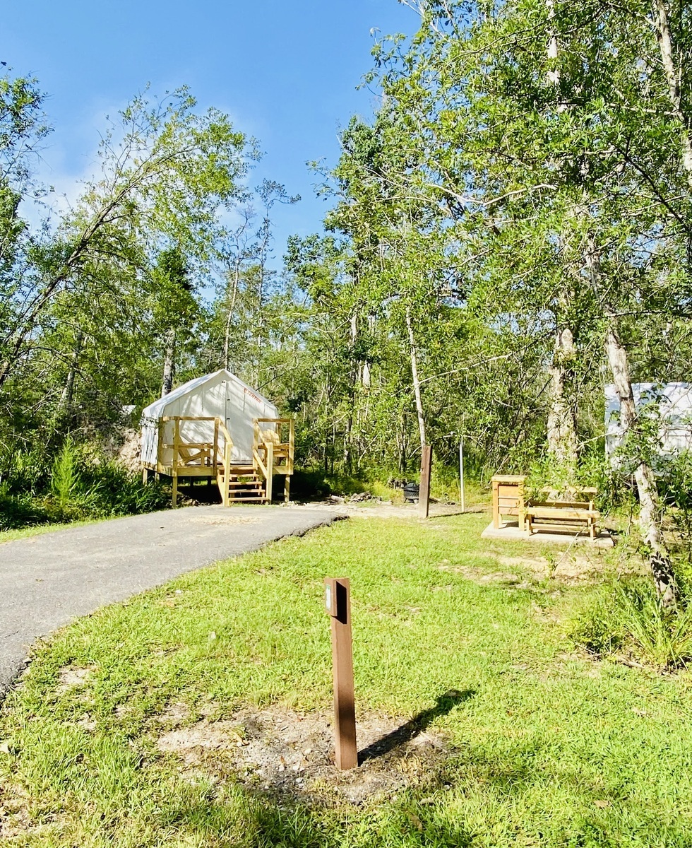 Louisiana Tickfaw State Park Woodland F Single Camp 5 Photos
