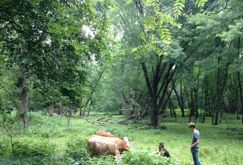 Tiell Park and Campground Stjames, MN RoverPass