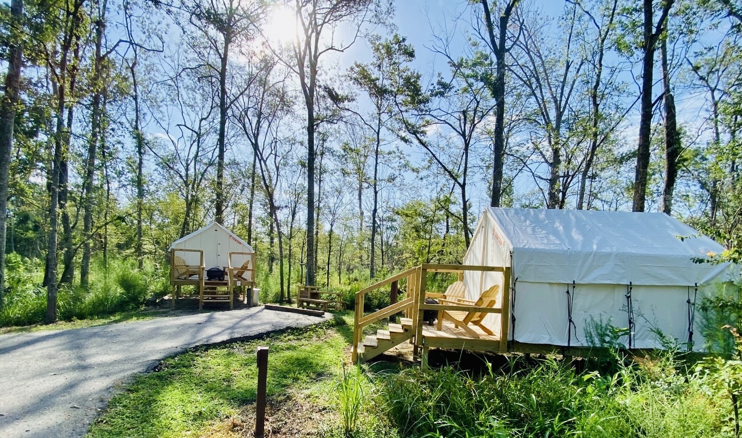 Louisiana Tickfaw State Park Woodland D Double Camp 5 Photos