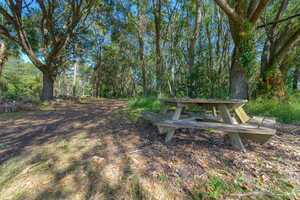 Central Park Haines City Fl 14