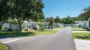 Citrus Hill  Age Restricted 55   Dade City Fl 5
