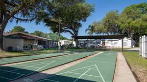 Citrus Hill  Age Restricted 55   Dade City Fl 8