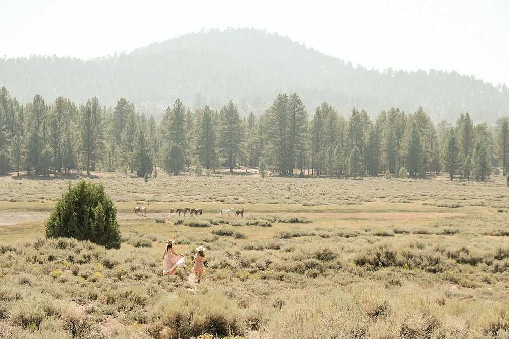 Valley Ranch 15 Photos Fawnskin, CA RoverPass