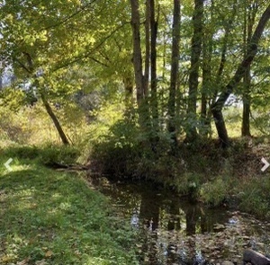 Hidden Hill Farm Campground Butler Oh 2