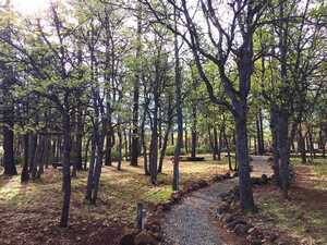 Lassen Rv Resort Mcarthur Ca 5