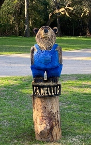 Camellia Rv Park  55  Park  Foley Al 6
