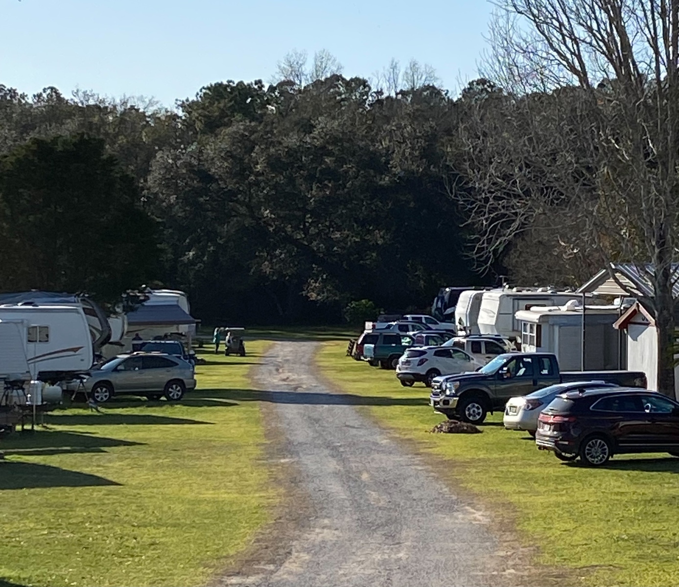 Camellia RV Park (55+ Park) 11 Photos Foley, AL RoverPass