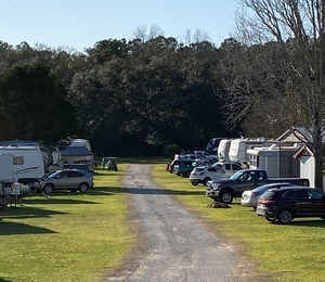 Camellia Rv Park  55  Park  Foley Al 10