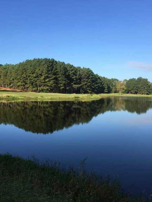 Wanee Lake Golf   Rv Park Ashburn Ga 0