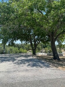 Green Dickson Municipal Park Shiner Tx 22