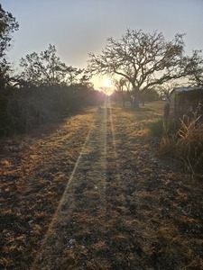 Homestead Hill Mountain Home Tx 6