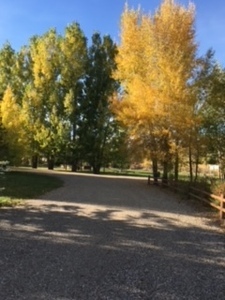 Aspen Grove Inn At Heise Bridge Rigby Id 97