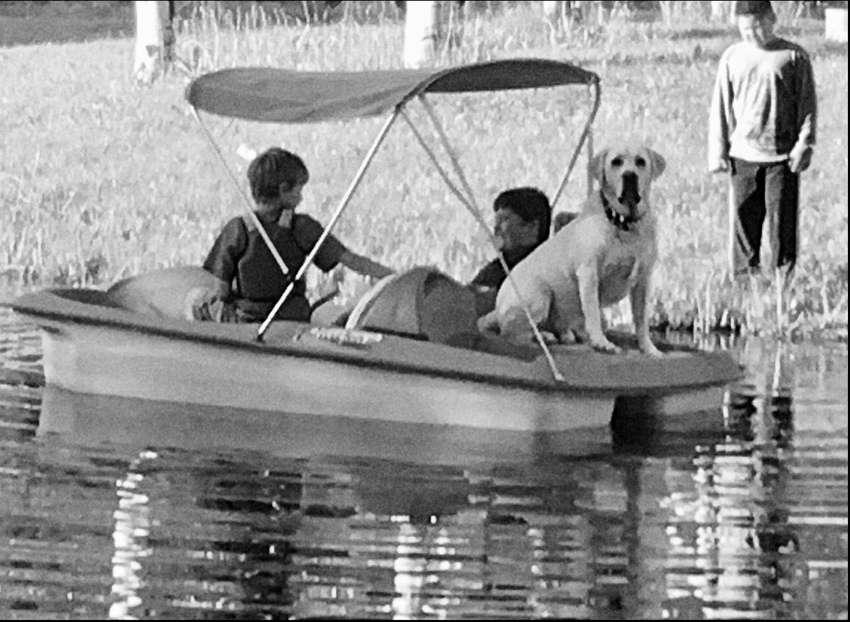 Aspen Grove Inn At Heise Bridge Rigby Id 99