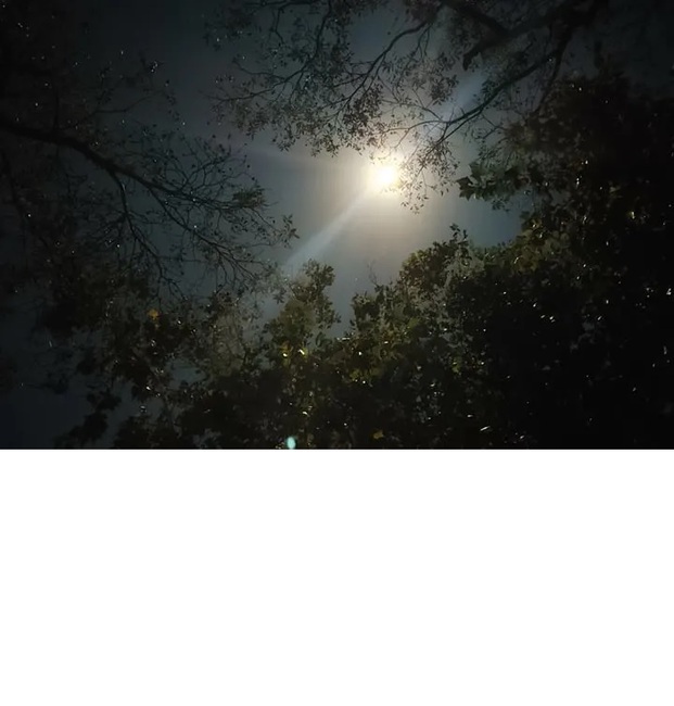 Bee Mountain Resort Cleburne Tx 87