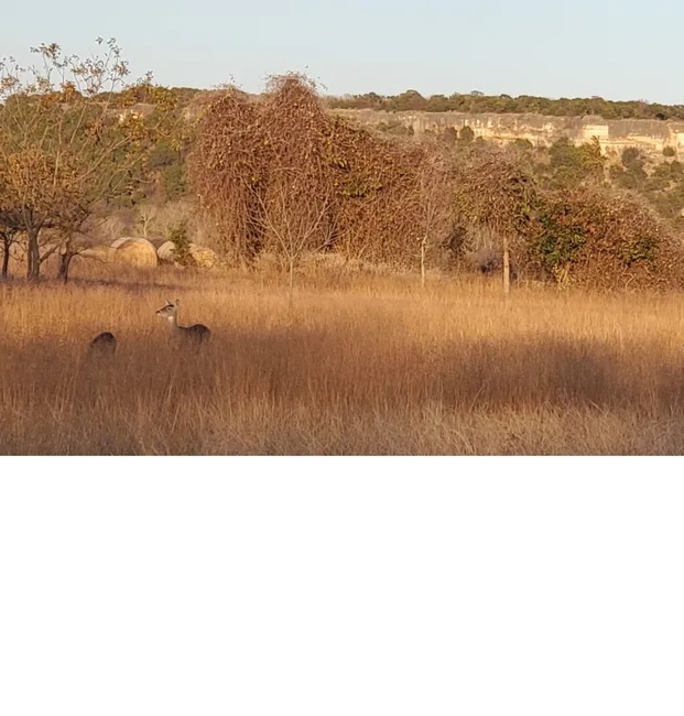 Bee Mountain Resort Cleburne Tx 91