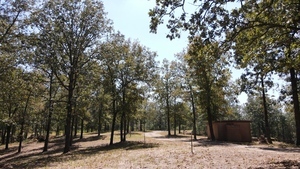 Rollin Oaks Park Springfield Ar 1