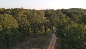 Rollin Oaks Park Springfield Ar 2