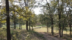 Rollin Oaks Park Springfield Ar 5