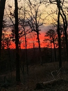 Rollin Oaks Park Springfield Ar 6