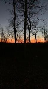 Rollin Oaks Park Springfield Ar 7