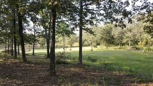 Rollin Oaks Park Springfield Ar 10