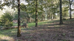 Rollin Oaks Park Springfield Ar 11