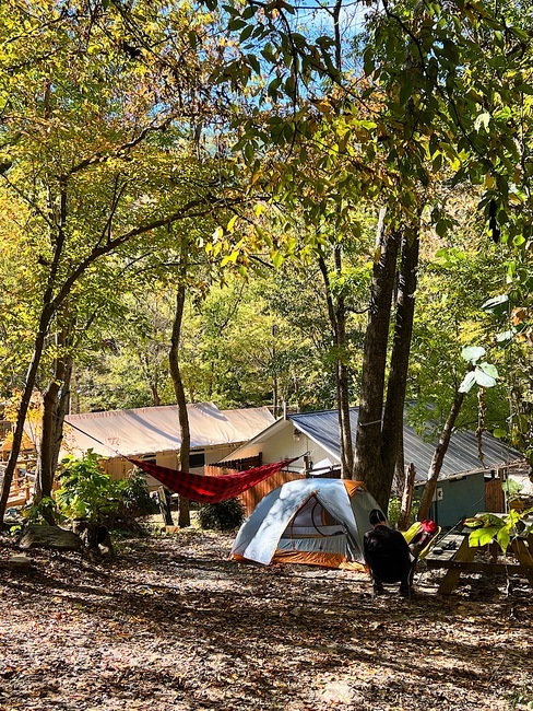 Wilderness Cove Campground Saluda Nc 13