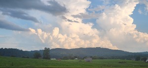 Yeary Valley Farms  Speedwell Tn 26