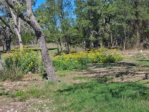 Homestead Hill Mountain Home Tx 18