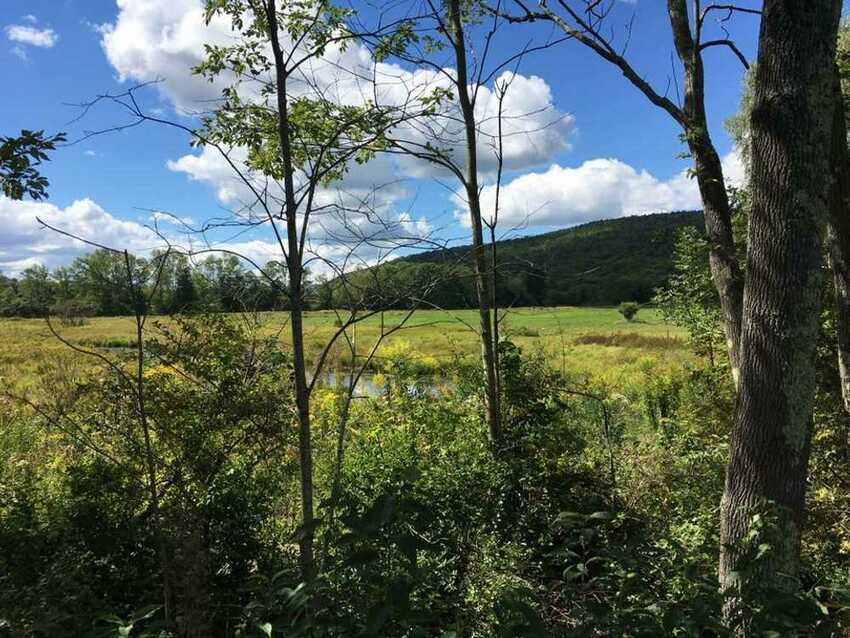 Best 10 Preston Hollow, NY RV Parks & Campgrounds