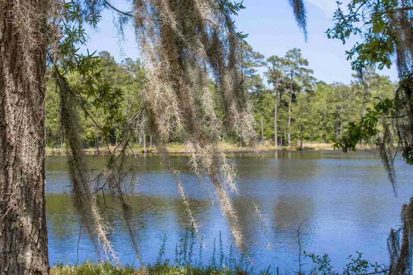 Best 10 Walterboro, SC RV Parks & Campgrounds