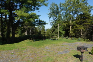 Black Bear Rv Park Florida Ny 14