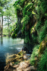 Krause Springs Spicewood Tx 1