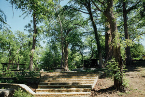 Krause Springs Spicewood Tx 3