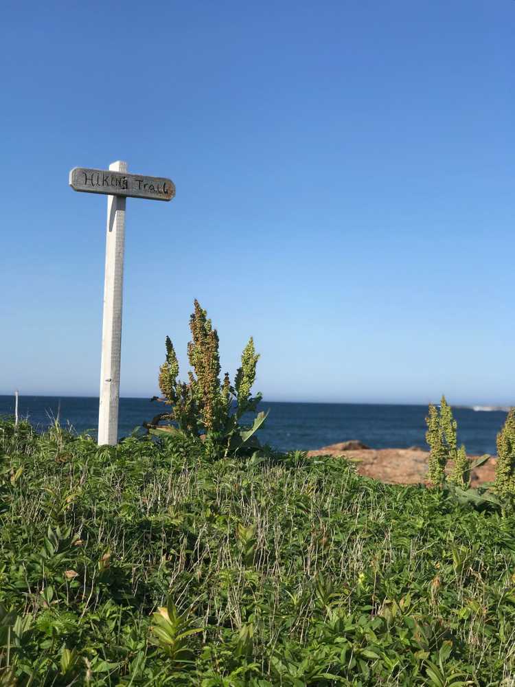 Lumsden North Beach Park 9 Photos Lumsden, NL RoverPass