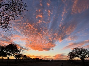 Our sunrises are just as gorgeous as the sunsets.