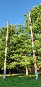 Ogemaw County Fair West Branch Mi 11